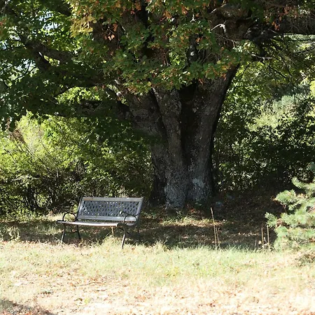 Casa vacanze La Grisonne - Nordine