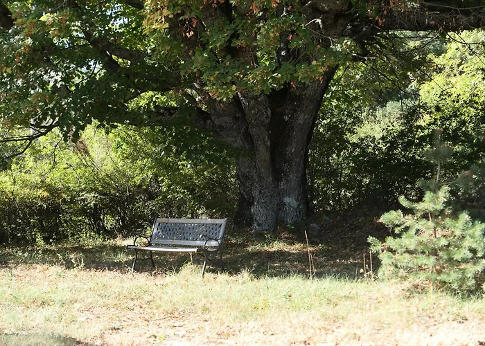 Vakantiehuis La Grisonne - Nordine